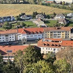IMG_5575.png