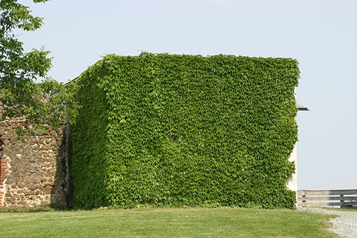 23. 05. 2007