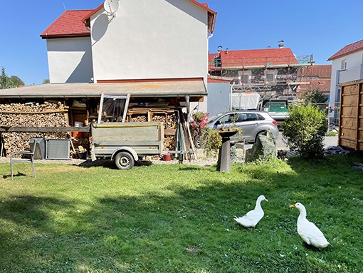 04. 08. 2022 Enten zu Besuch